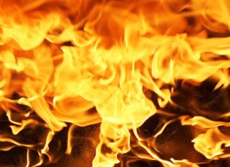 Bombero Queda Herido y un Perro Muere Después de un Incendio