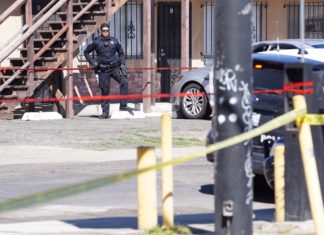 Sospechoso de Robo de Auto Muere Después de Ser Baleado Por Autoridades